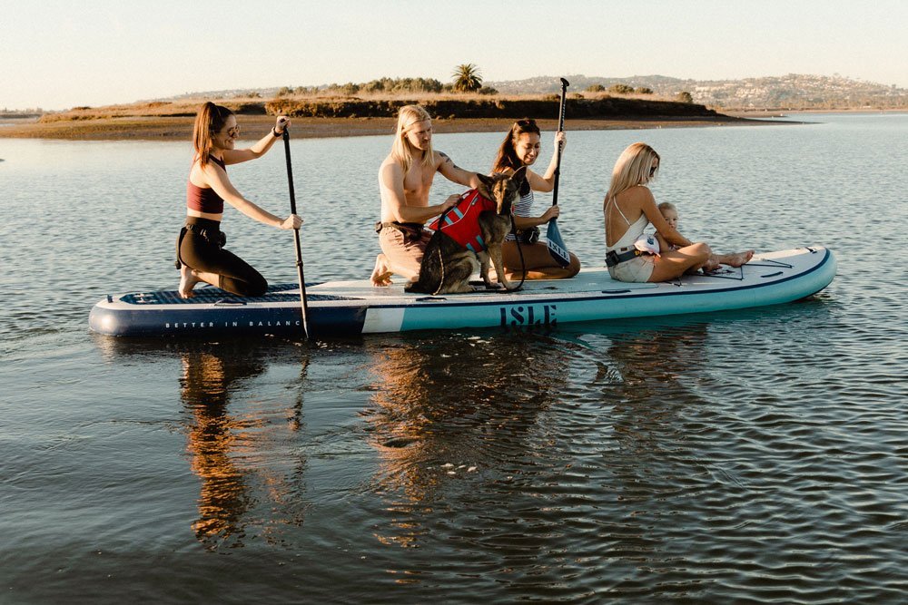 Megalodon | 12' / 15' - Online Shop