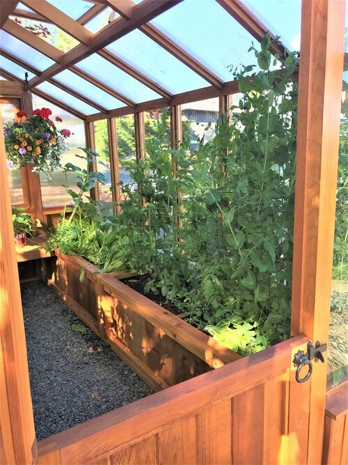 Western Red Cedar 8'x 12' Meridian Greenhouse - Online Shop