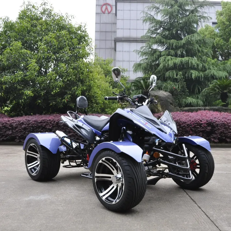 300CC ATV, Quad Bike - Online Shop