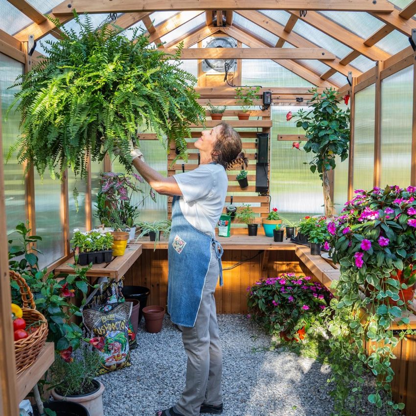 Backyard Discovery Bellerose Traditional Wood Greenhouse, All Cedar, Exterior and Interior Hose Hook-up, PowerPort, Foldable Shelves, Passive and Active Ventilation - Online Shop