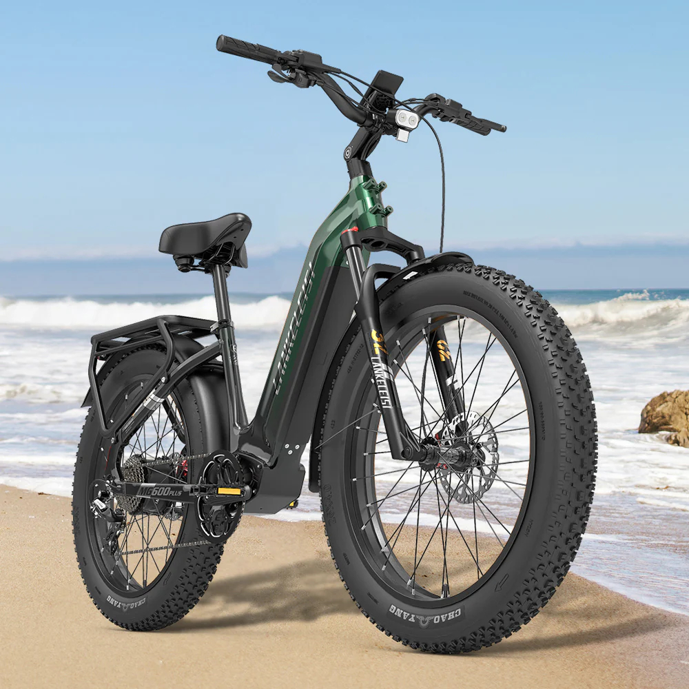 Lankeleisi MG600 Plus 2025 Version 26 Fat Bike 960Wh All Terrain SUV E-Bike with Torque Sensor 48V 20Ah Battery - Online Shop